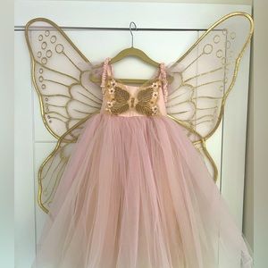 Pottery Barn Kids Pink Butterfly Fairy Costume